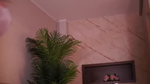 Snapshot of avamaddisson chatting on 6, 2, 2026 Ava online show from 6, 2, 2026