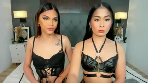 Ayesha online show from 23, 12, 2024