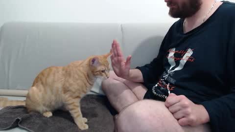 Azer online show from 28, 11, 2025