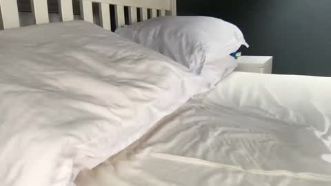 Snapshot of b1gd0ng1111 chatting on 17, 9, 2025 b1gd0ng1111 online show from 17, 9, 2025