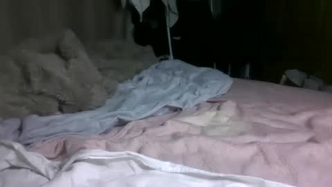 Ava online show from 16, 4, 2026