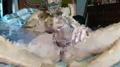 Poindexxxter online show from 16, 12, 2024