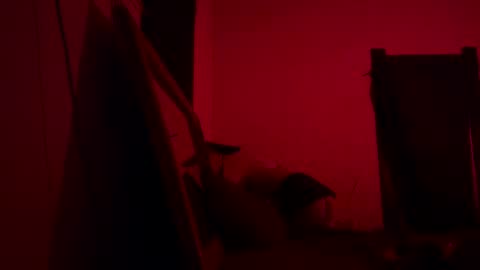 Snapshot of babyboox1 chatting on 25, 2, 2025 yasmin blake online show from 25, 2, 2025