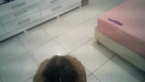 babyluna16 online show from 4, 10, 2025