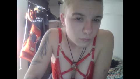 Honey online show from 3, 12, 2025