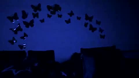 Gina online show from 12, 2, 2025