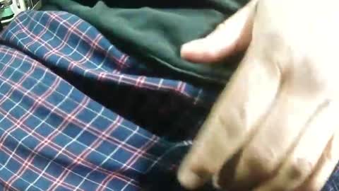 Bagofun online show from 25, 1, 2025