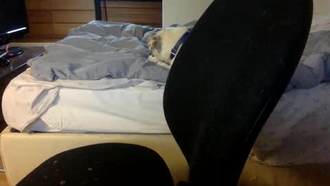 bahn92 online show from 11, 3, 2026