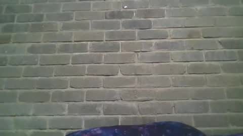 Chaterlain online show from 19, 1, 2025