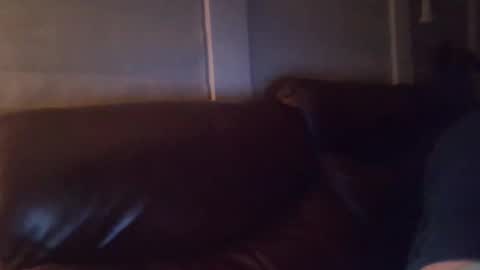 Snapshot of bake66999 chatting on 5, 2, 2026 bake66999 online show from 5, 2, 2026