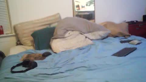 bakerbeachismygig online show from 15, 2, 2026