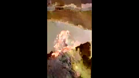 ballsdeepbruce online show from 4, 4, 2026