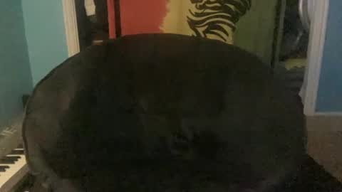 bananaboy420720 online show from 16, 9, 2025