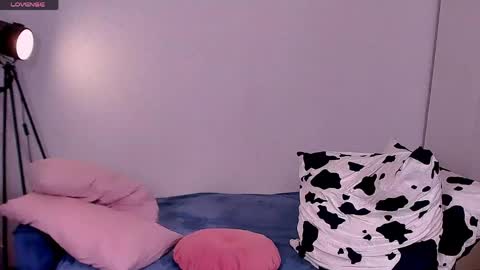 Snapshot of barbara_bb chatting on 5, 6, 2026 Barbie Kim online show from 5, 6, 2026