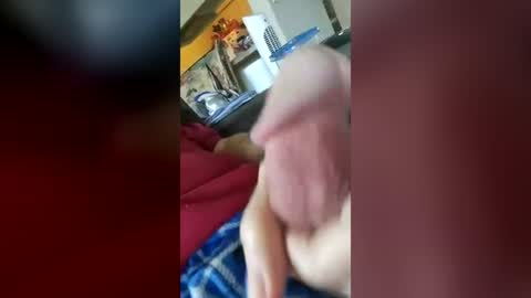 barbitall online show from 17, 7, 2026