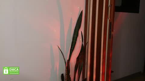 Bastiel online show from 15, 1, 2026