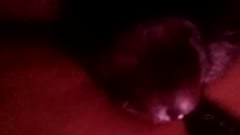 bcfalcon69 online show from 1, 4, 2026