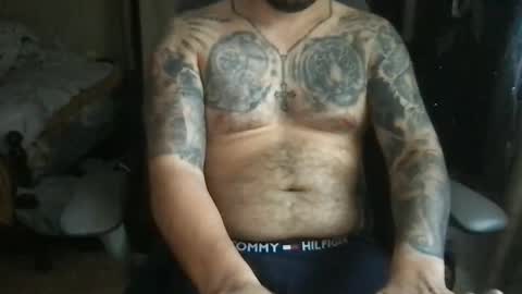 Bearcito online show from 8, 5, 2026