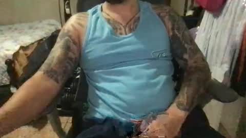 Bearcito online show from 14, 5, 2026