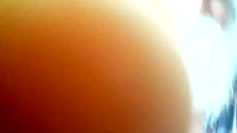 beardbushy online show from 4, 3, 2026