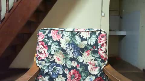 Eva online show from 22, 2, 2026