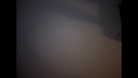 bee69239900 online show from 7, 6, 2026