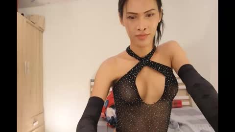 bee_thai online show from 12, 10, 2025