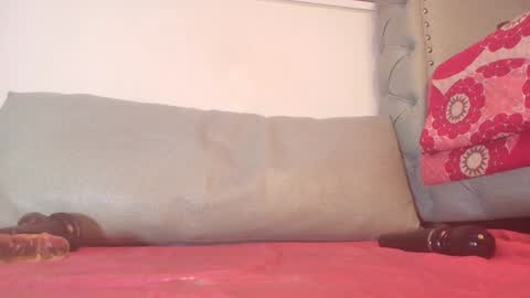 Snapshot of begoniia_ chatting on 28, 12, 2024 Begonia online show from 28, 12, 2024