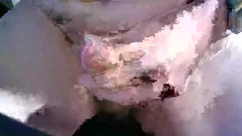 behn1983 online show from 28, 3, 2026