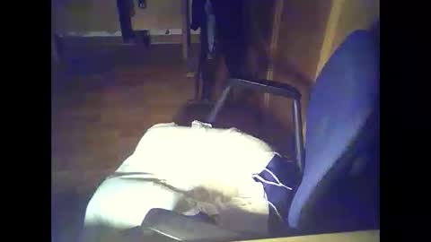 bekklove1 online show from 9, 2, 2026