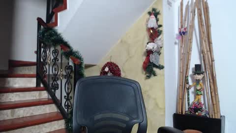 independent model online show from 29, 11, 2025