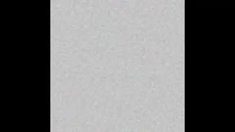 Snapshot of bella__w chatting on 2, 12, 2024 Zia online show from 2, 12, 2024