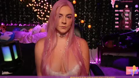 Snapshot of bellabearts chatting on 1, 12, 2024 Bellalunabear trans JadePlant Cis online show from 1, 12, 2024