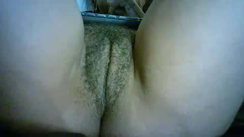 Bella online show from 6, 3, 2025