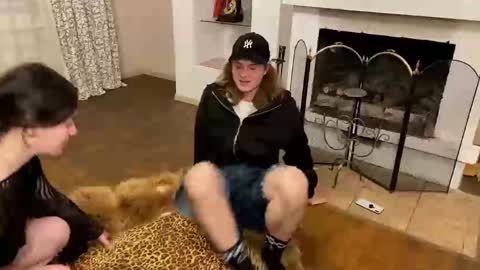 Baila online show from 12, 11, 2025