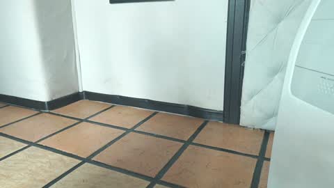    online show from 19, 12, 2024