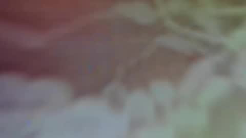 Bella Porch online show from 26, 2, 2025