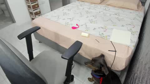 Bella  Angelycal online show from 20, 2, 2025