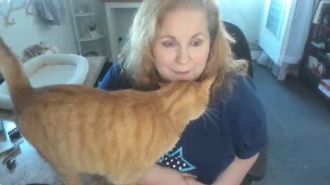 Snapshot of bellavoca chatting on 11, 4, 2026 Bellavoca online show from 11, 4, 2026
