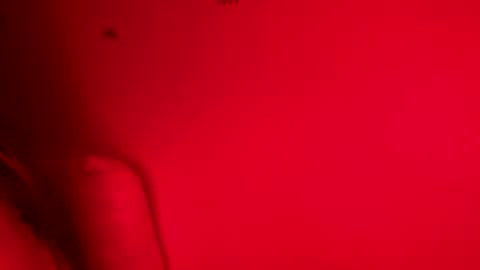 Snapshot of belle_marie chatting on 9, 11, 2025 Belle xx online show from 9, 11, 2025