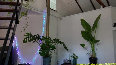 Snapshot of bellebabyboo chatting on 18, 1, 2025 BELLE online show from 18, 1, 2025