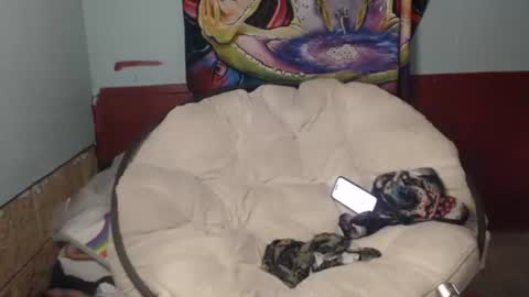 Snapshot of bentbunny21 chatting on 22, 7, 2026 Bent Bunny online show from 22, 7, 2026