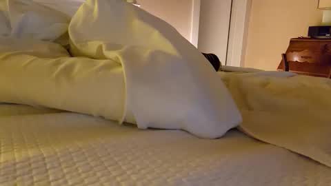 bentpilot online show from 20, 12, 2025