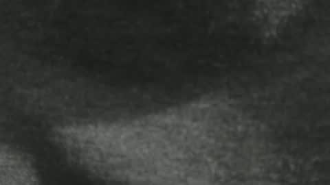 benx12123 online show from 4, 1, 2025