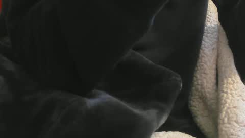 benx12123 online show from 16, 2, 2025