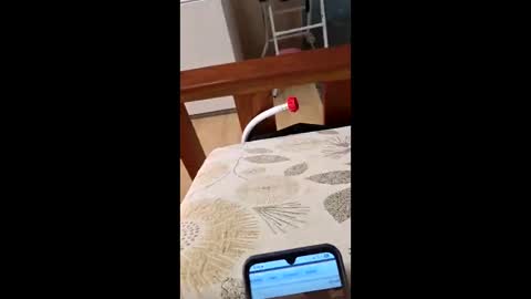 bf2506 online show from 12, 2, 2026