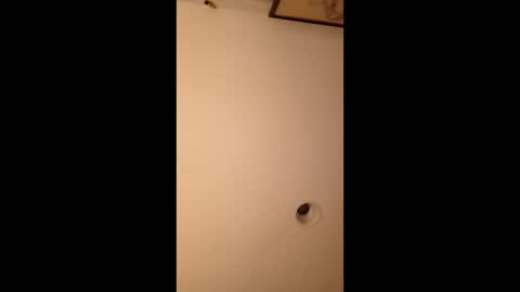 bgiamba21 online show from 14, 3, 2026