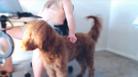 Alcide Herveaux online show from 25, 2, 2026