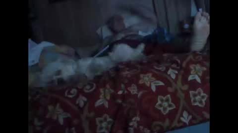 BB online show from 20, 10, 2025