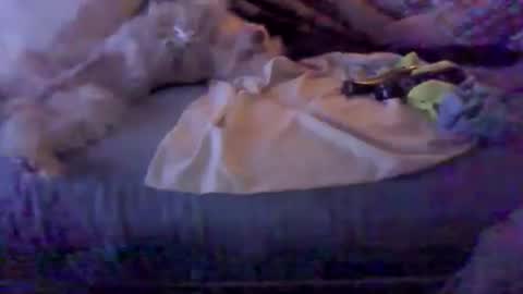 Snapshot of bigbenidick1 chatting on 8, 2, 2026 BB online show from 8, 2, 2026